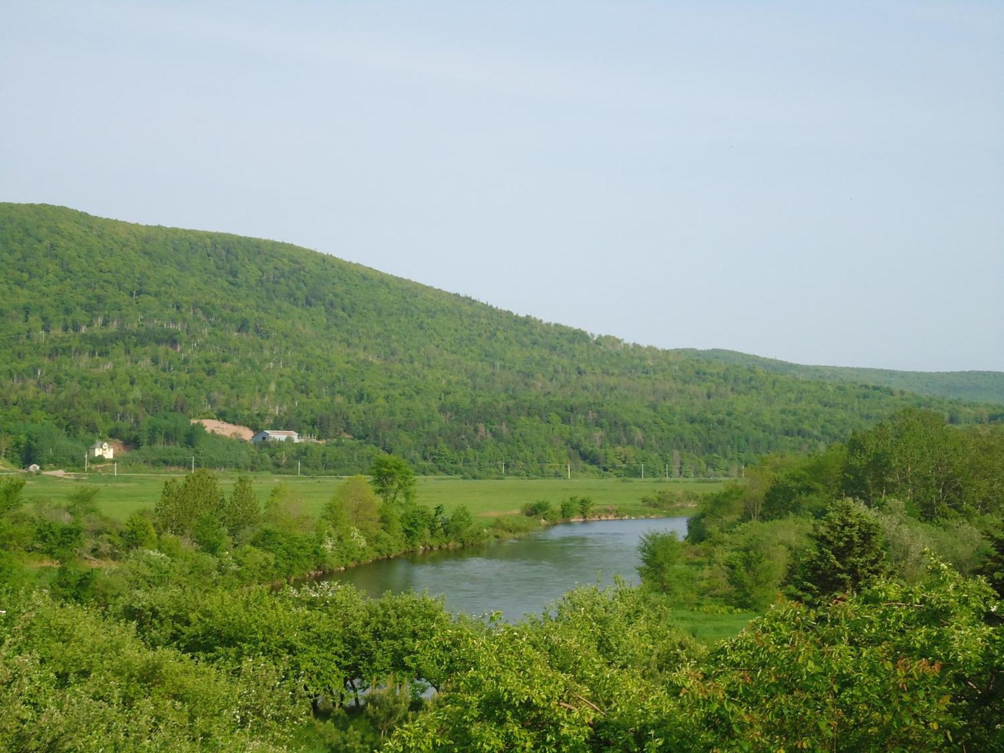 Margaree Forks Cajun Cedar Log Cottages מראה חיצוני תמונה