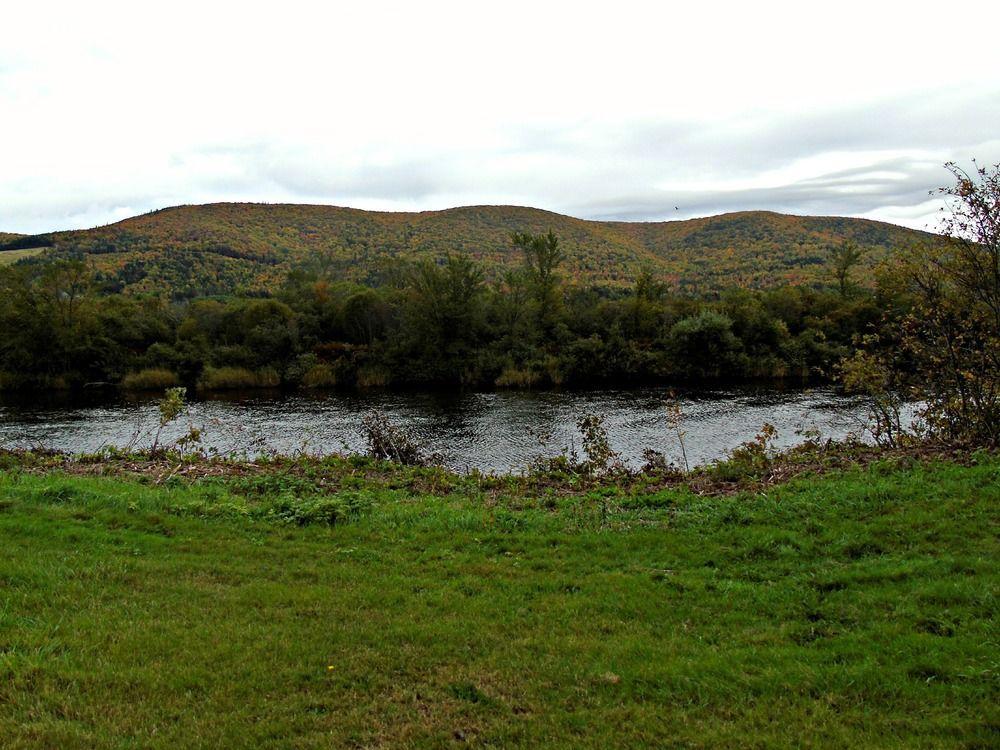 Margaree Forks Cajun Cedar Log Cottages מראה חיצוני תמונה