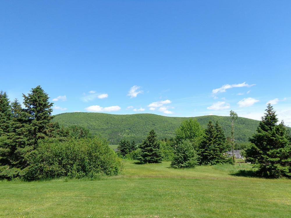 Margaree Forks Cajun Cedar Log Cottages מראה חיצוני תמונה