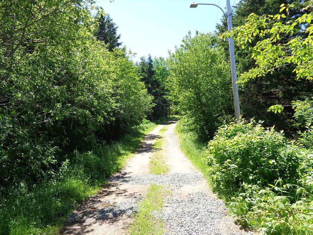 Margaree Forks Cajun Cedar Log Cottages מראה חיצוני תמונה
