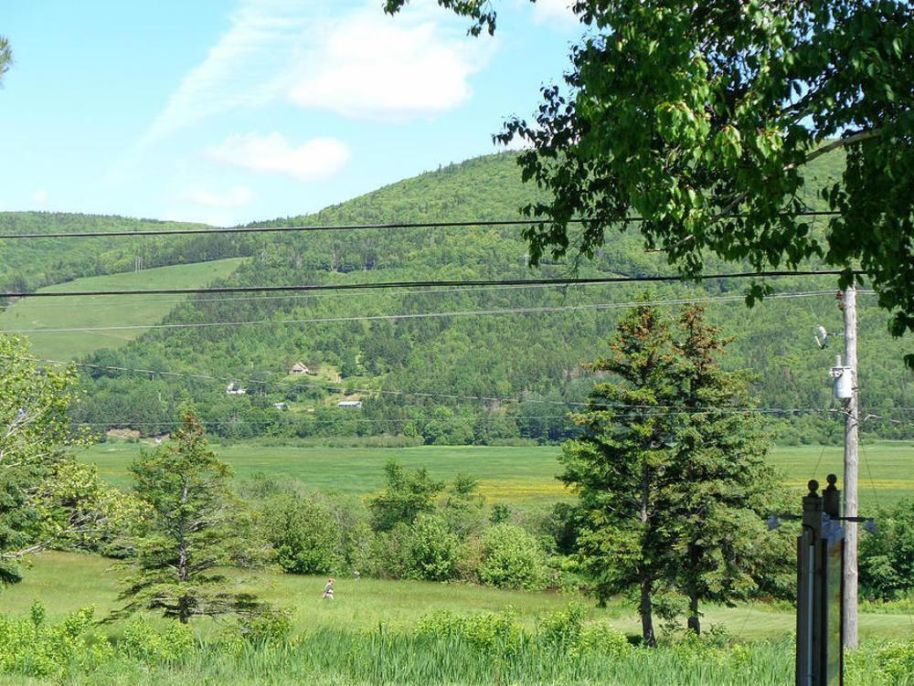 Margaree Forks Cajun Cedar Log Cottages מראה חיצוני תמונה