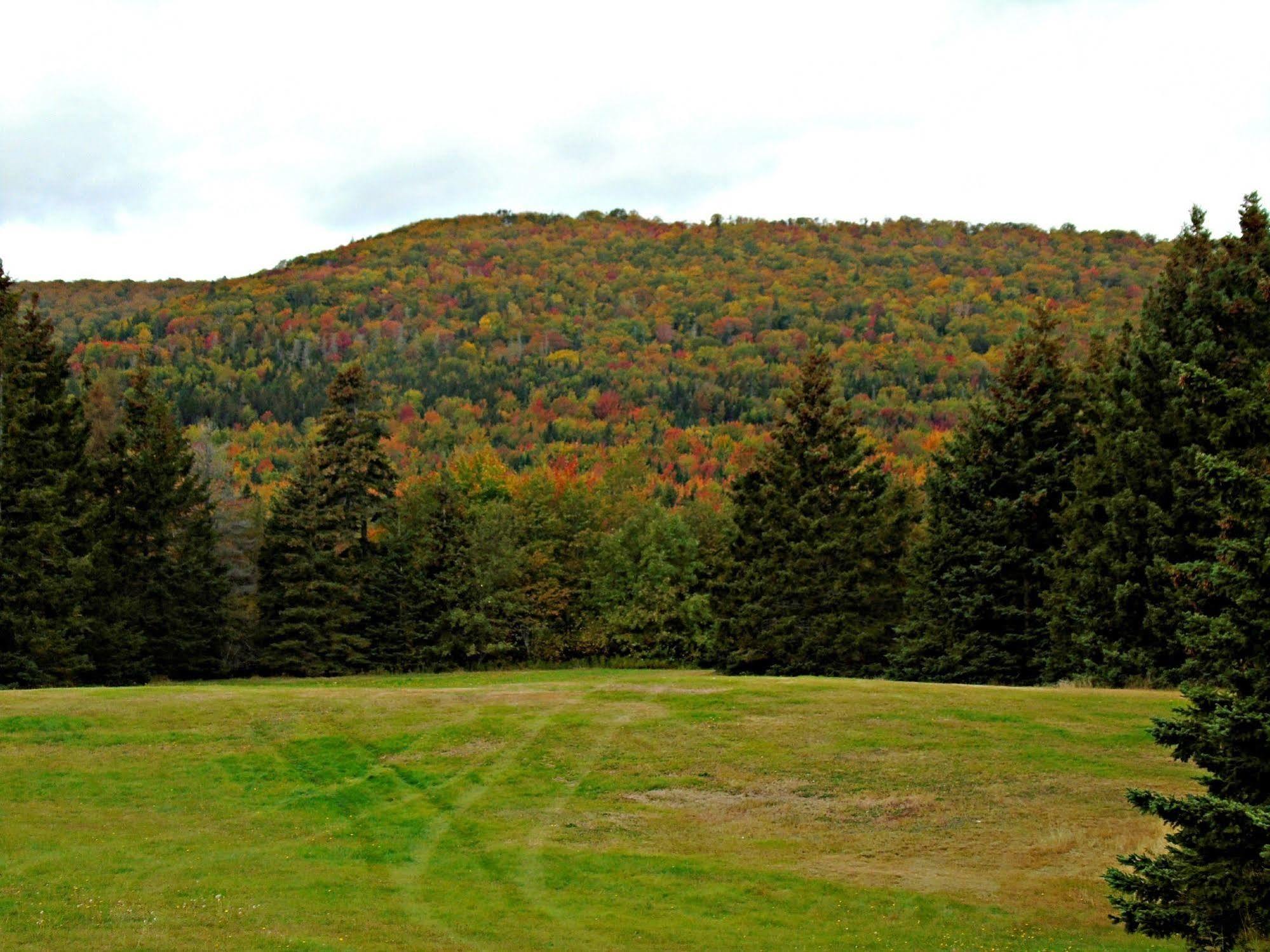 Margaree Forks Cajun Cedar Log Cottages מראה חיצוני תמונה