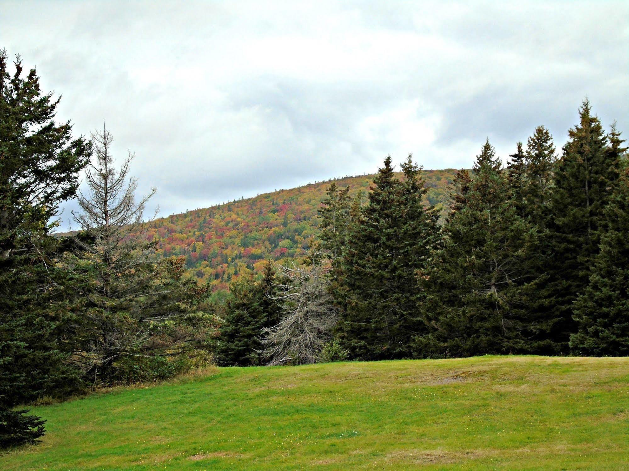 Margaree Forks Cajun Cedar Log Cottages מראה חיצוני תמונה
